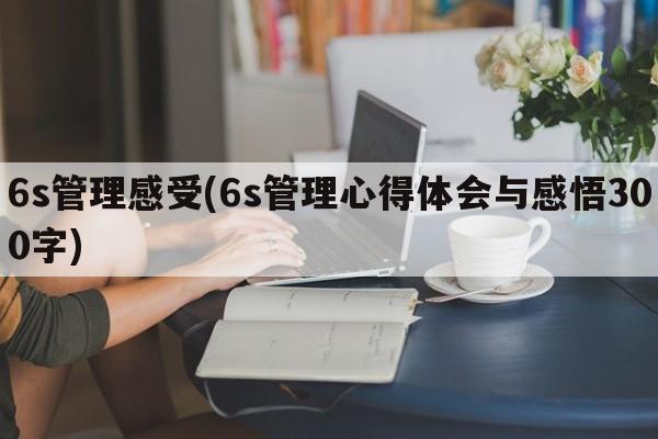 6s管理感受(6s管理心得体会与感悟300字)